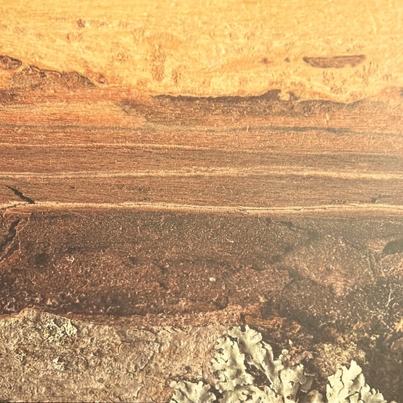 Scrapbook Paper! Wood Backgrounds & Textures! 12x12” - Picture 16 of 17